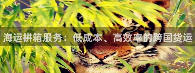 公海赌赌船快速充值